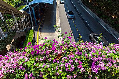 Epic虚幻5.1版本介绍 能有效的提高开发者效率